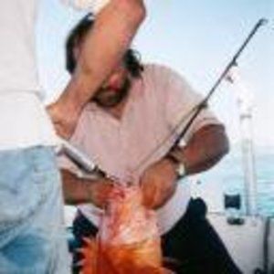 Meet your Posher, Don